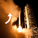 Illustration for article titled One small step for a frog; one giant leap for frogkind.